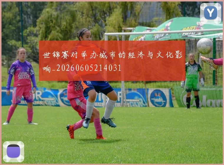 世锦赛对举办城市的经济与文化影响_20260605214031