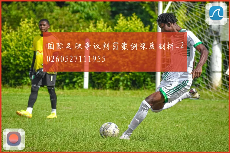国际足联争议判罚案例深度剖析_20260527111955